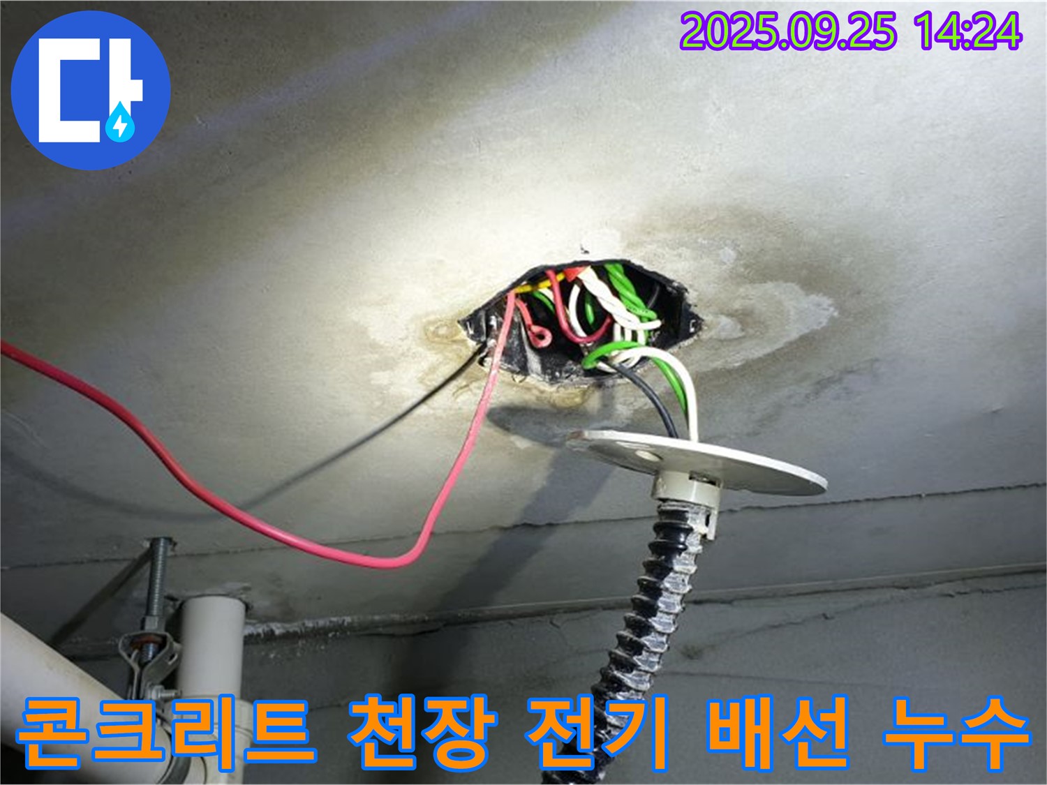 의정부1동 누수 - 콘크리트 천장 전기 배선 누수 발생 시 빠른 방문 점검