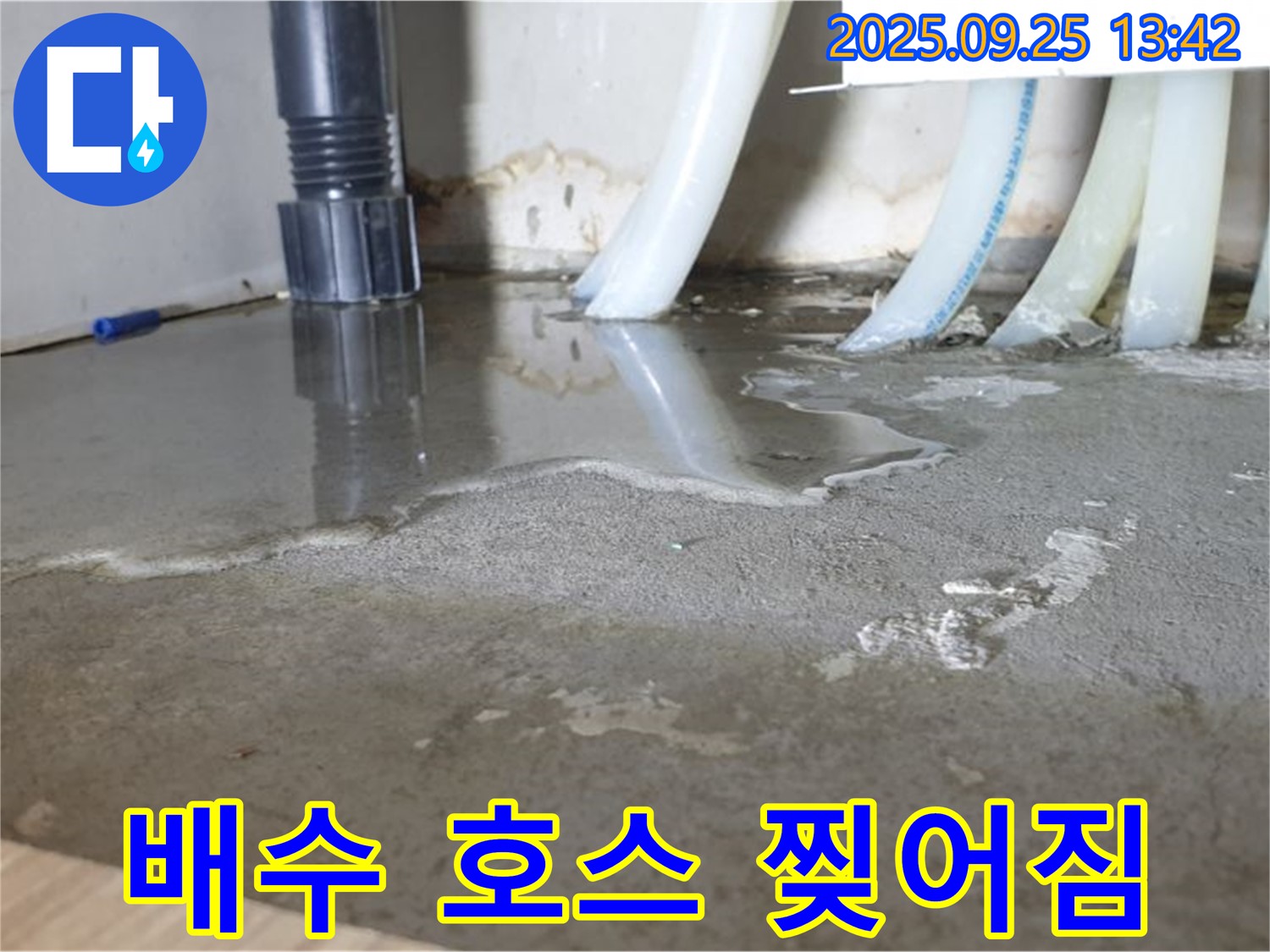 의정부2동 배수 호스 찢어짐 - 찢어진 호스 신속하게 교체