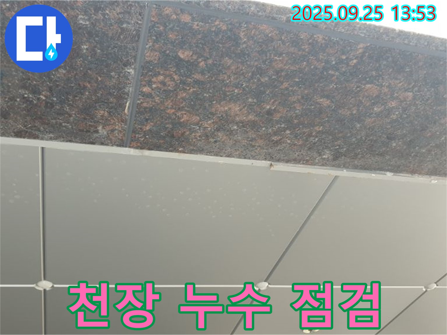 의정부2동 천장 누수 점검 - 정밀 장비로 정확한 누수 위치 파악