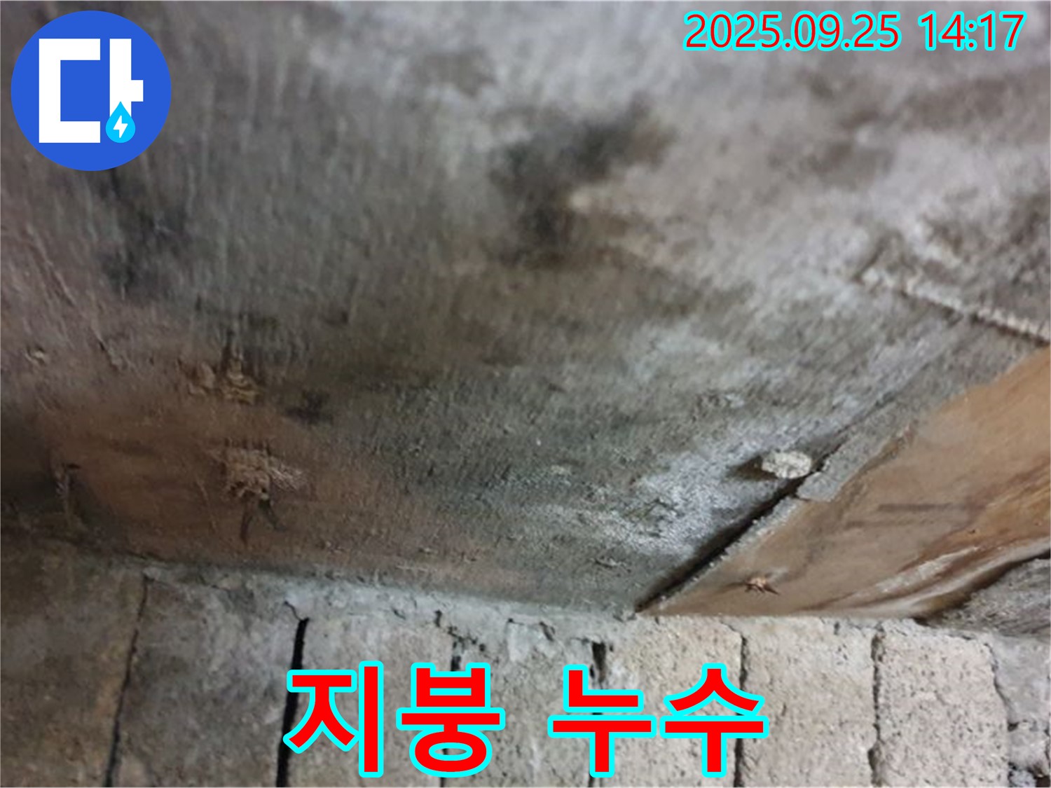 의정부 호원동 누수 현장 - 벽돌 건물 지붕에서 누수가 발생하여 천장에 곰팡이가 생긴 모습입니다.