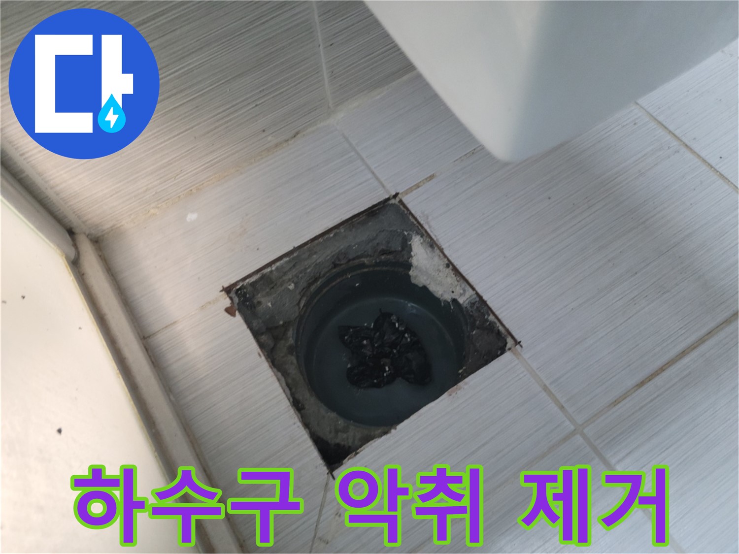 강변로 욕실 하수구 - 악취 제거 - 쾌적한 욕실 환경