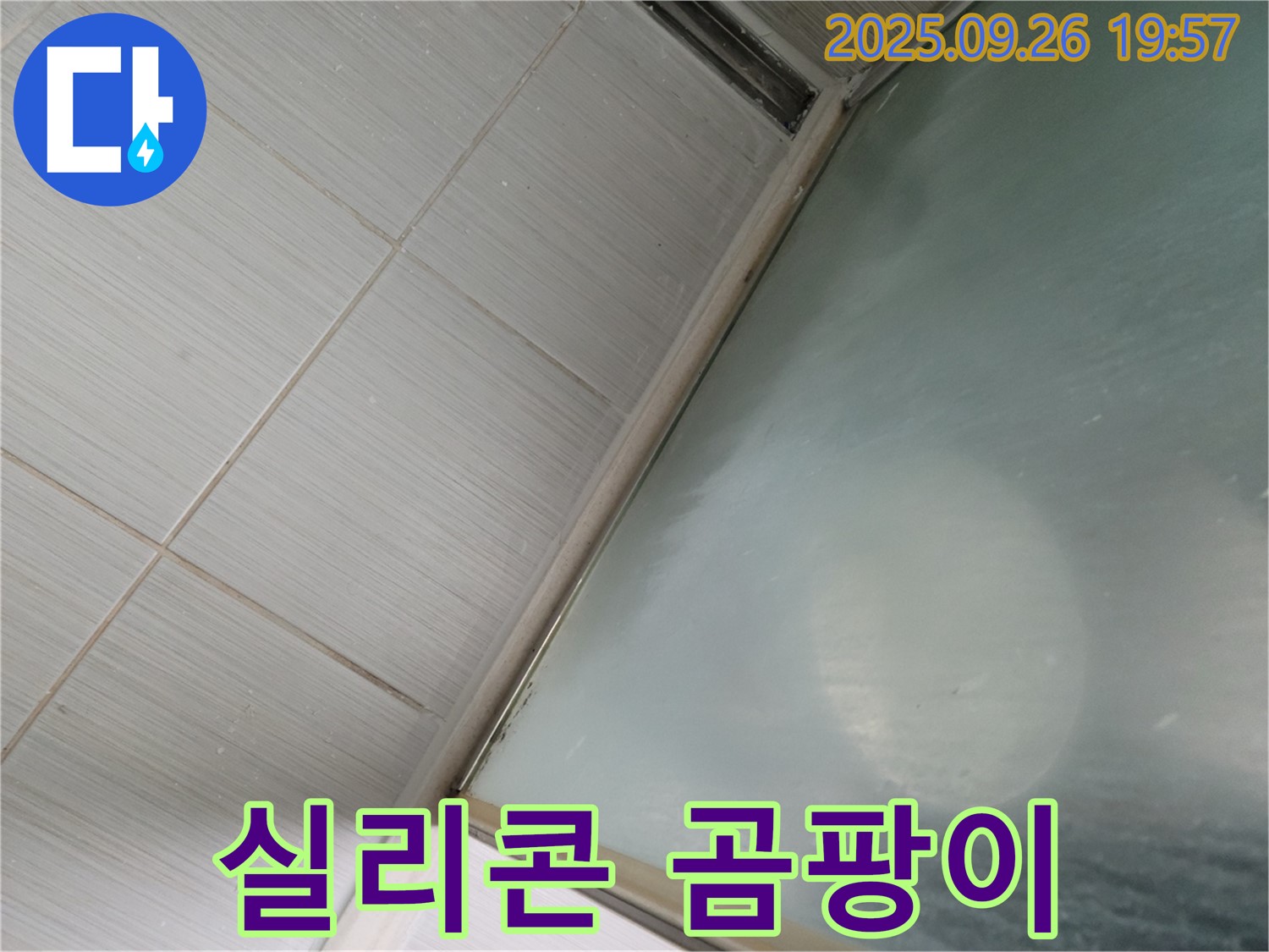 경기 동두천시 강변로 샤워부스 누수 - 실리콘 노후 및 곰팡이로 인한 누수 해결