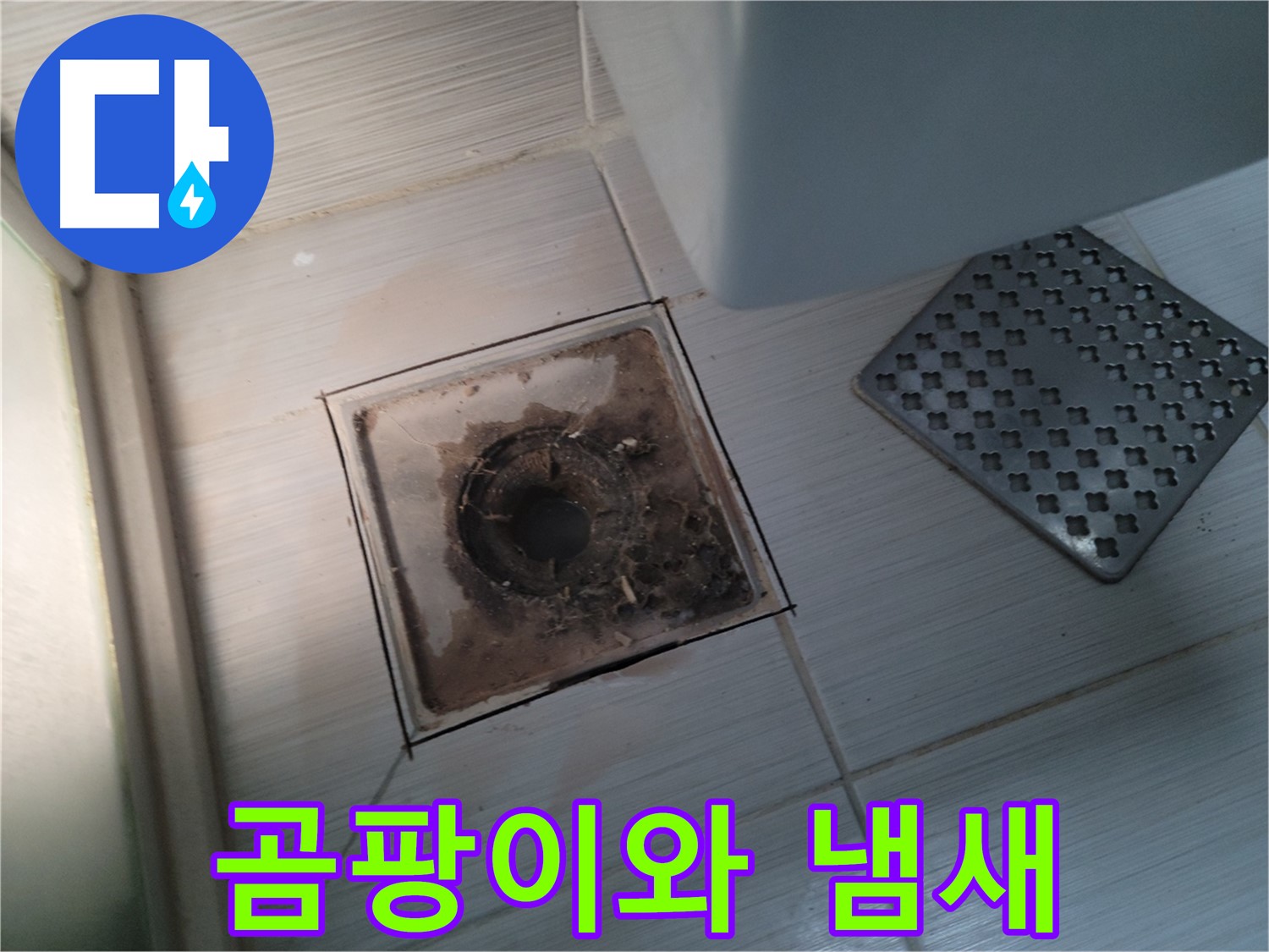 곰팡이 - 냄새 - 욕실 누수 - 꼼꼼 진단