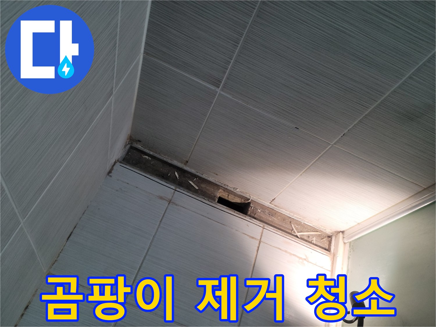 동두천 강변로 곰팡이 제거 - 깨끗하게