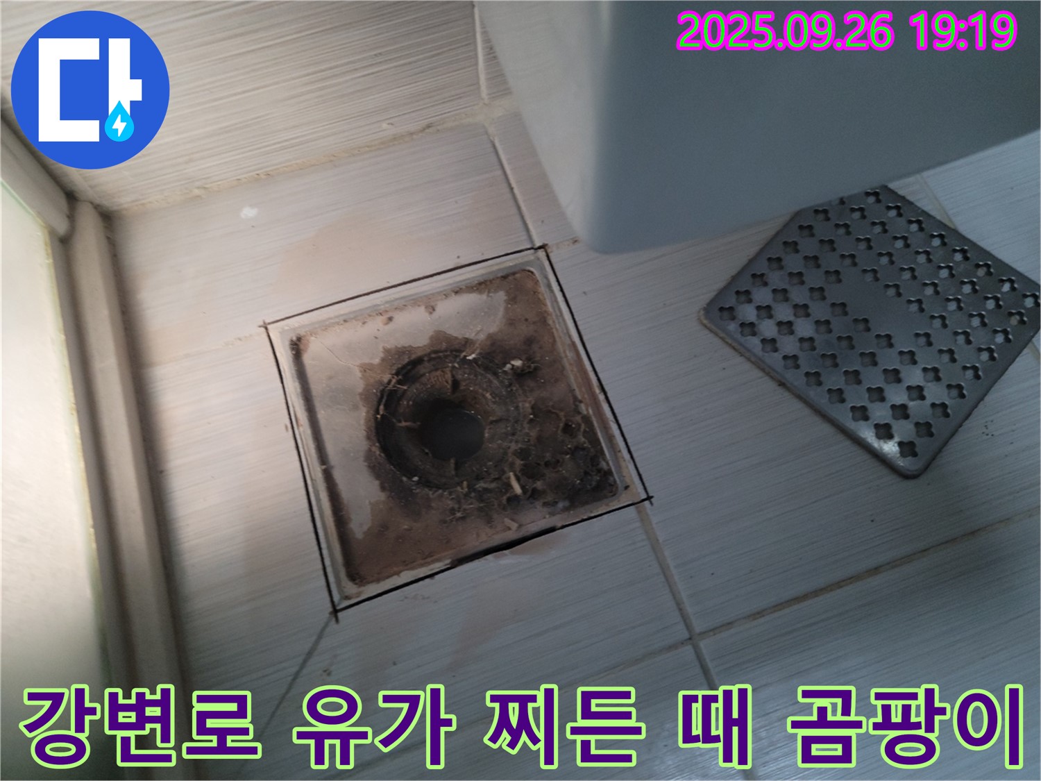 동두천 누수 - 강변로 - 욕실 유가 찌든 때와 곰팡이의 콜라보 - 청소가 시급합니다.