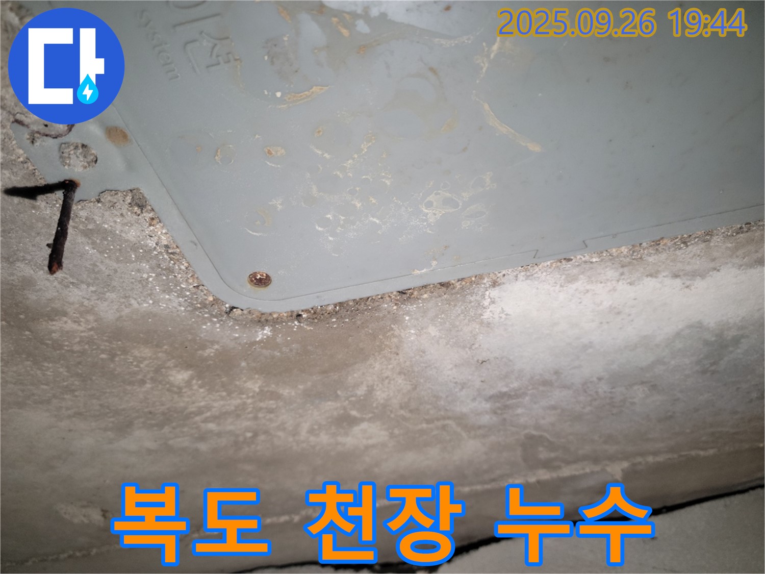 동두천 누수 - 아파트 복도 천장 물 떨어짐, 공용 부분