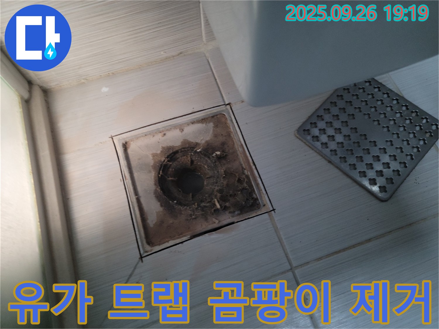 동두천 누수 - 욕실 유가 트랩 청소, 곰팡이 제거 전문 업체에서 확실하게 해결하세요.