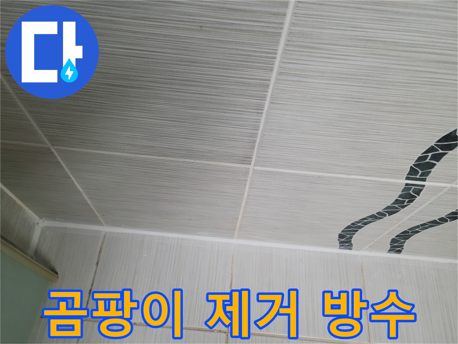 동두천 누수 - 욕실 천장 타일 틈새의 곰팡이를 꼼꼼하게 제거하고 방수 작업을 진행합니다.