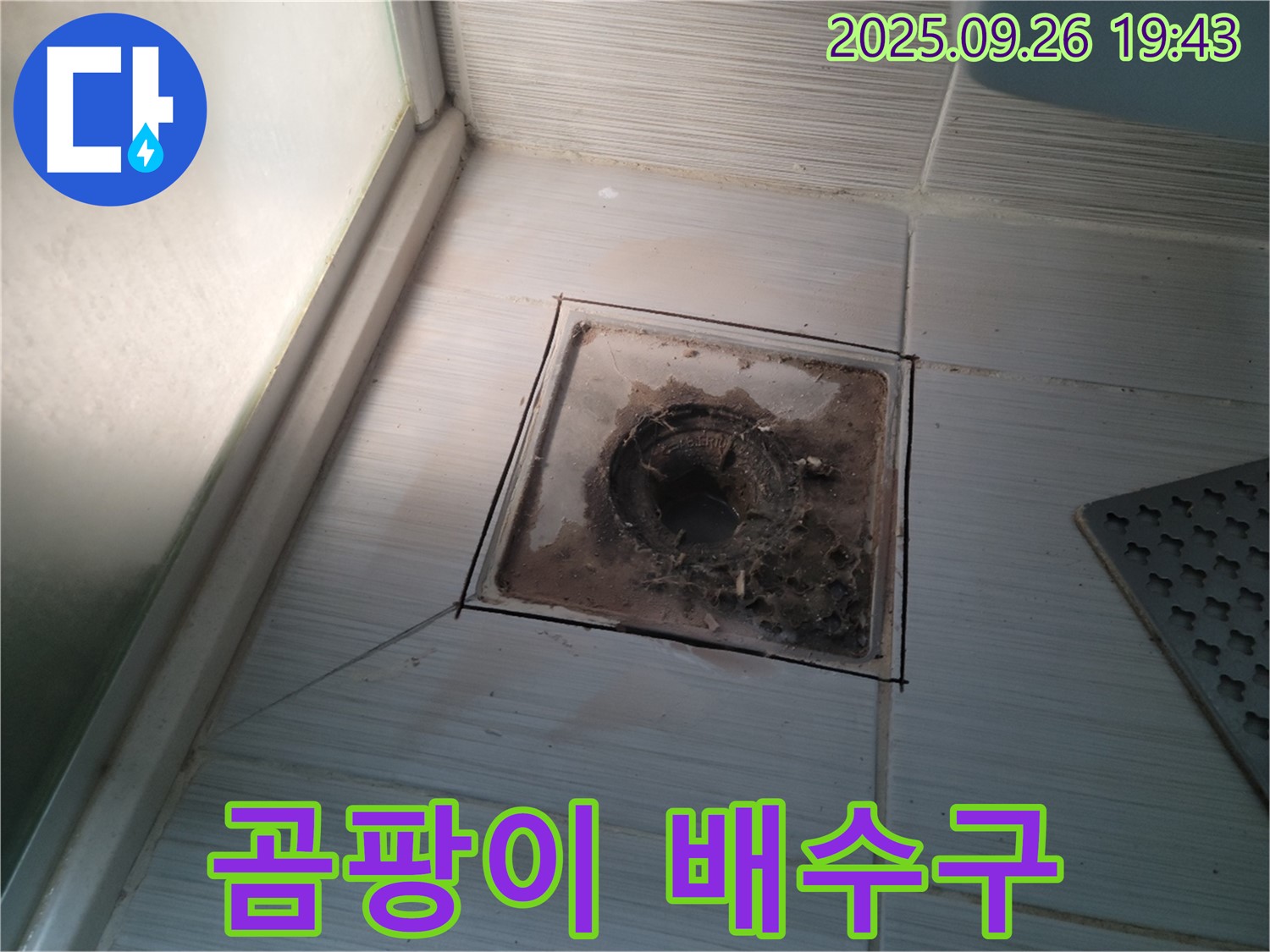동두천 누수 전문 업체에서 곰팡이가 심하게 핀 욕실 배수구를 점검하는 모습 - 건강까지 위협하는 곰팡이의 위험성을 알려드립니다.