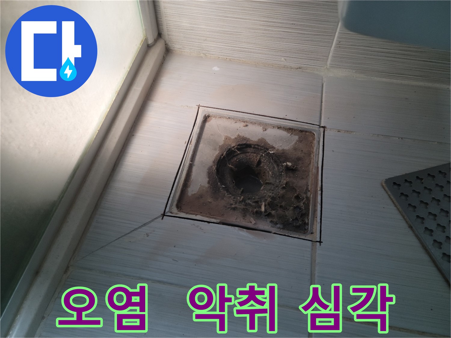 욕실 배수구 주변 오염으로 인한 악취 심각한 상태