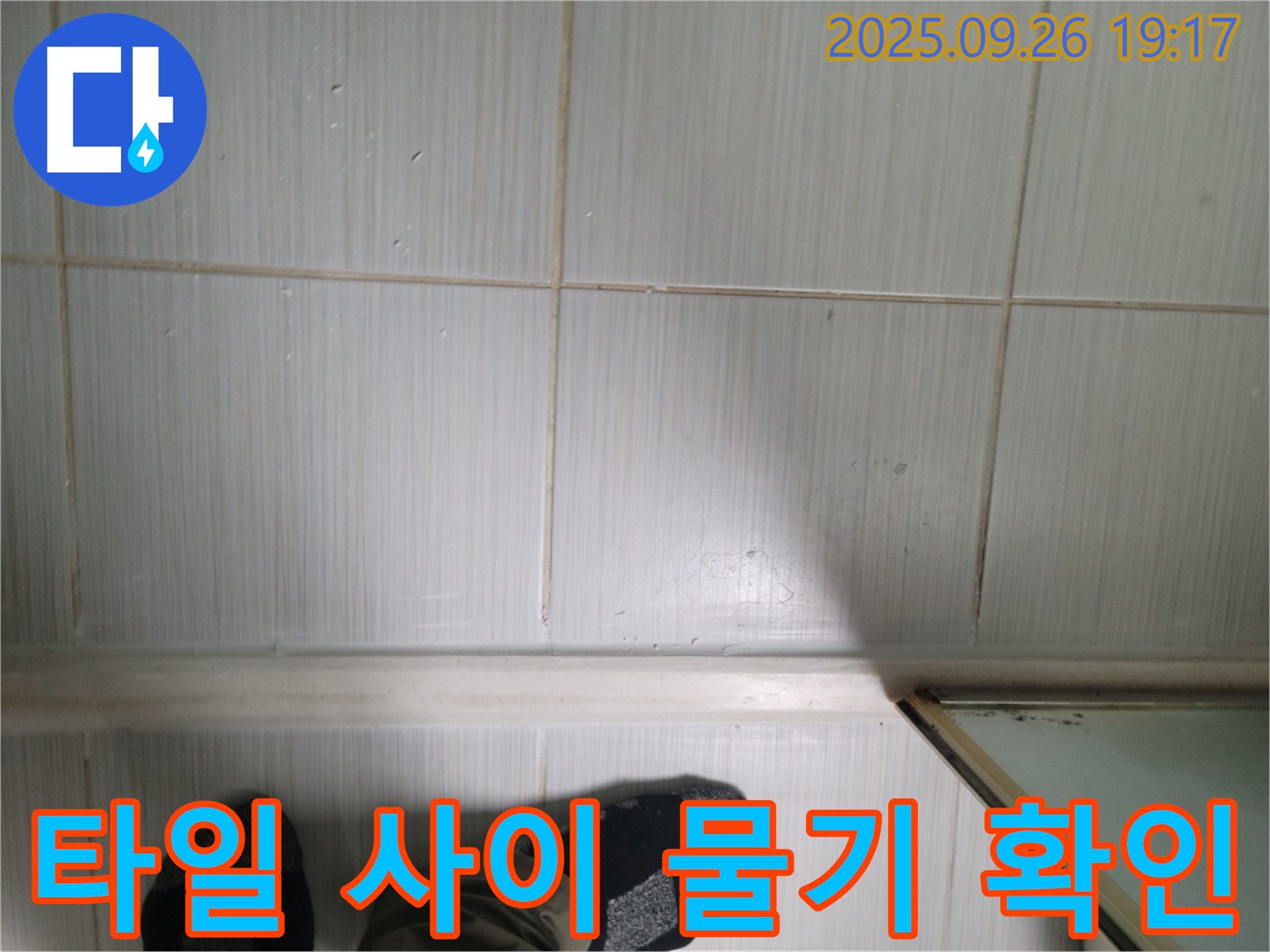 동두천 생연동 누수 - 욕실 타일 사이의 물기를 통해 누수 여부를 판단하고 있습니다.