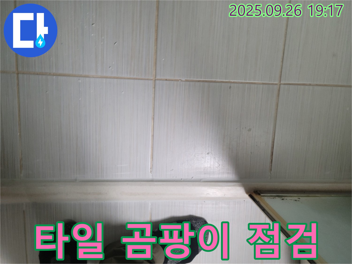 동두천 생연동 누수 - 타일 곰팡이 상태를 자세히 점검하고 있습니다.