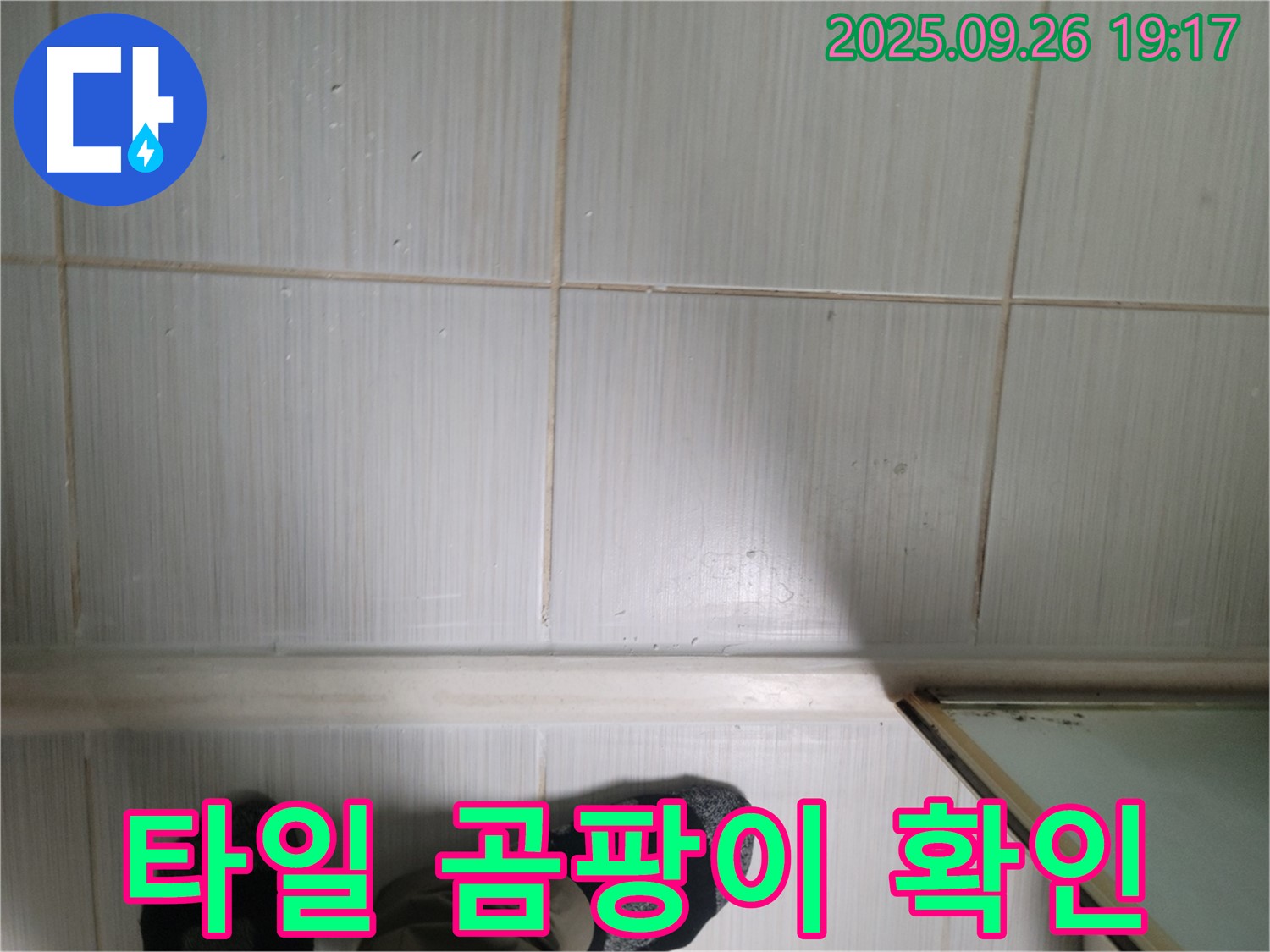 동두천 생연동 누수 - 타일 곰팡이를 통해 누수와 건강 문제를 확인하고 있습니다.