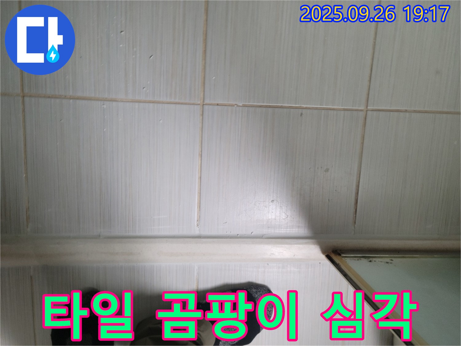 동두천 생연동 누수 - 타일 심각한 곰팡이 상태를 확인하고 친절 상담과 확실한 A/S를 약속드립니다.