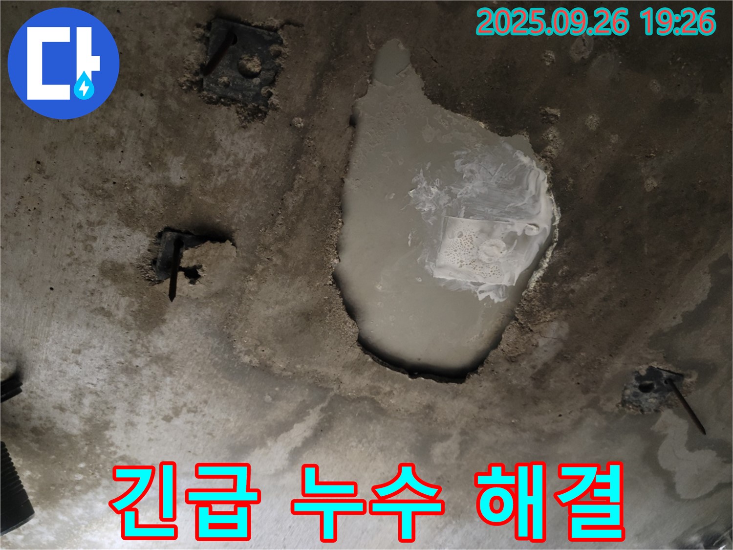 동두천 송내동 누수 현장 - 긴급 누수 해결 후 뽀송뽀송해진 장판 - 확실한 해결