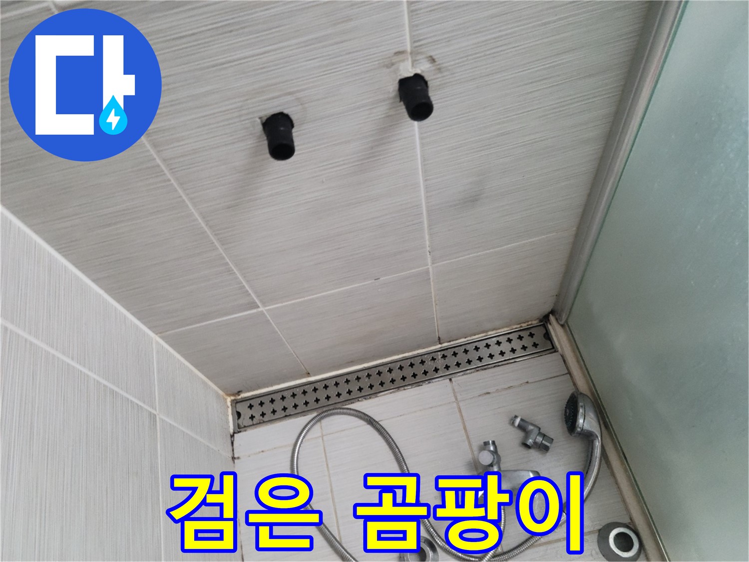 동두천 신창동 - 샤워기 주변 타일 틈새 검은 곰팡이 - 곰팡이, 보기만 해도 찝찝해!