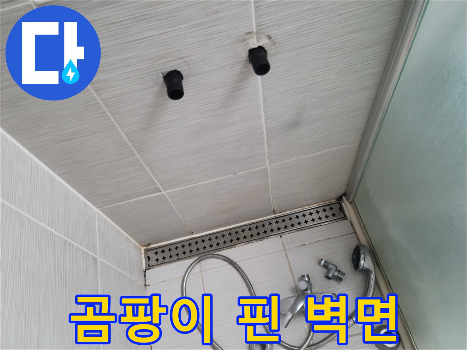 동두천 신창동 - 샤워기 철거 후 곰팡이 핀 벽면 - 곰팡이, 건강을 위협하는 적!