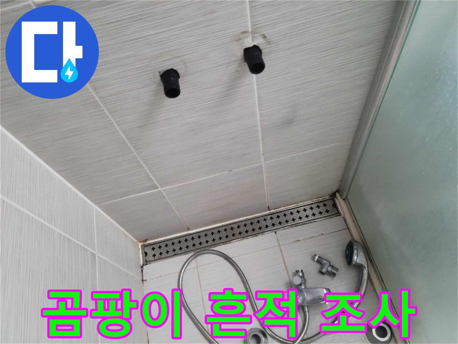 동두천 신창비바 - 샤워기 자리 주변 타일 곰팡이 흔적 면밀히 조사