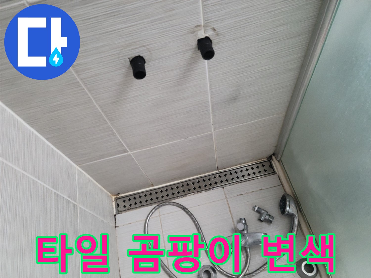동두천 신창비바 - 샤워기 주변 타일 곰팡이 및 변색 심각