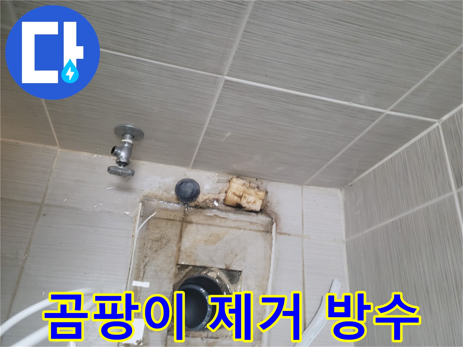 동두천 신창비바패밀리-2단지 배수관 주변 곰팡이 제거 및 방수 공사