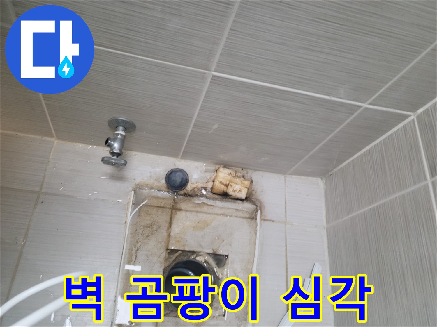 동두천 신창비바패밀리-2단지 환풍기 주변 벽 곰팡이 심각 - 누수 의심