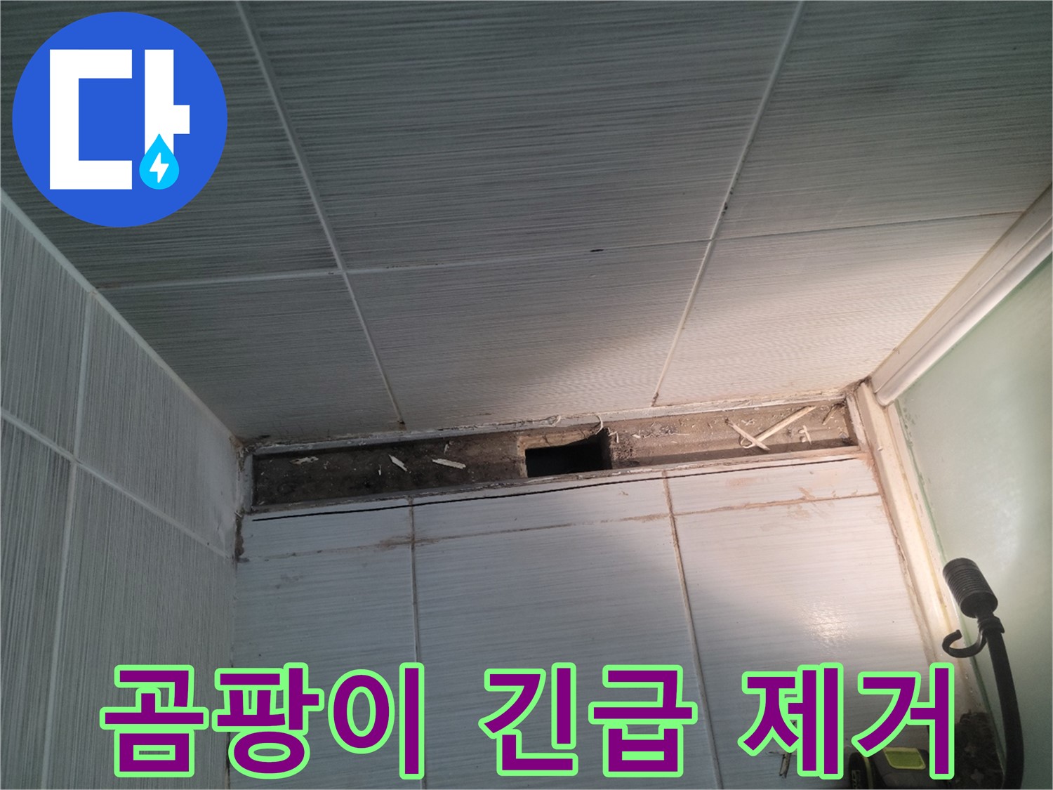 동두천 신창비바패밀리 욕실 천장 누수 - 곰팡이 발견, 긴급 제거