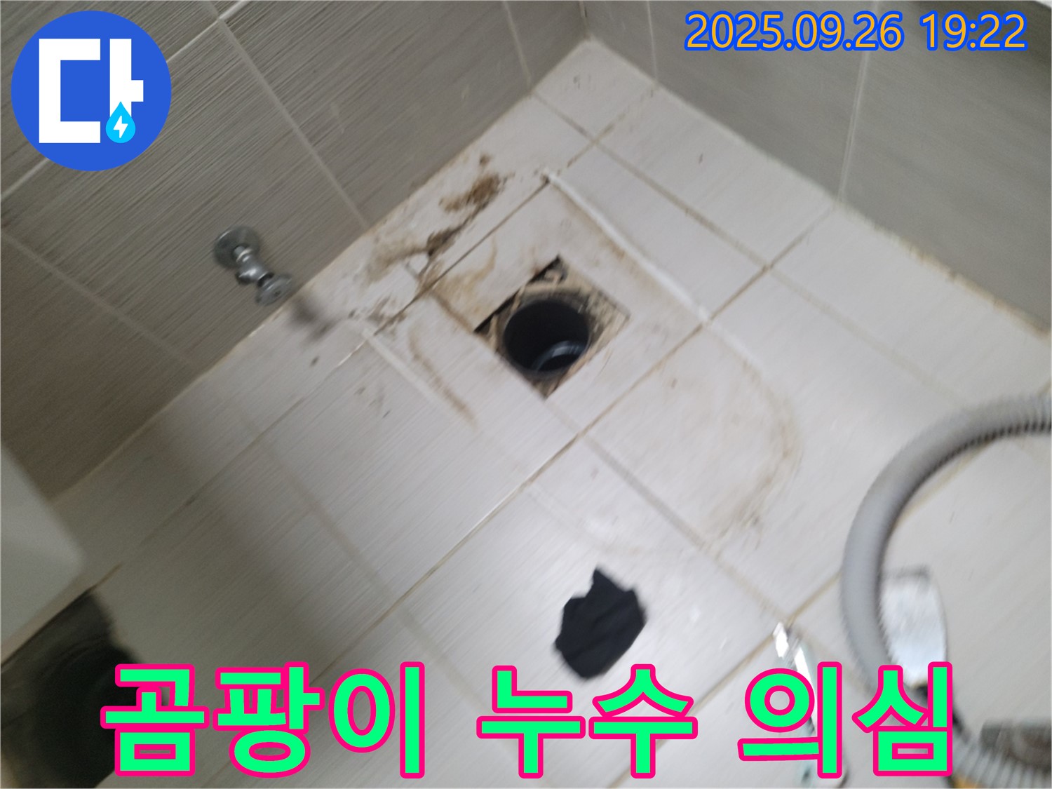 동두천 욕실 누수 - 배수구 주변 곰팡이와 누수 의심, 정밀 진단 및 해결