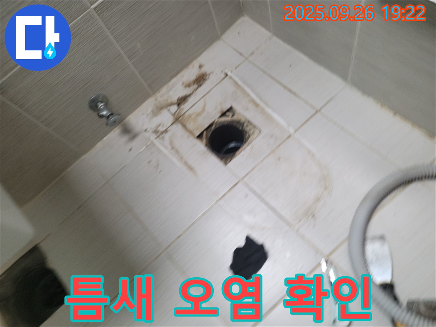 동두천 욕실 누수 - 배수구 주변 타일 틈새 오염, 누수 초기 증상 여부 확인