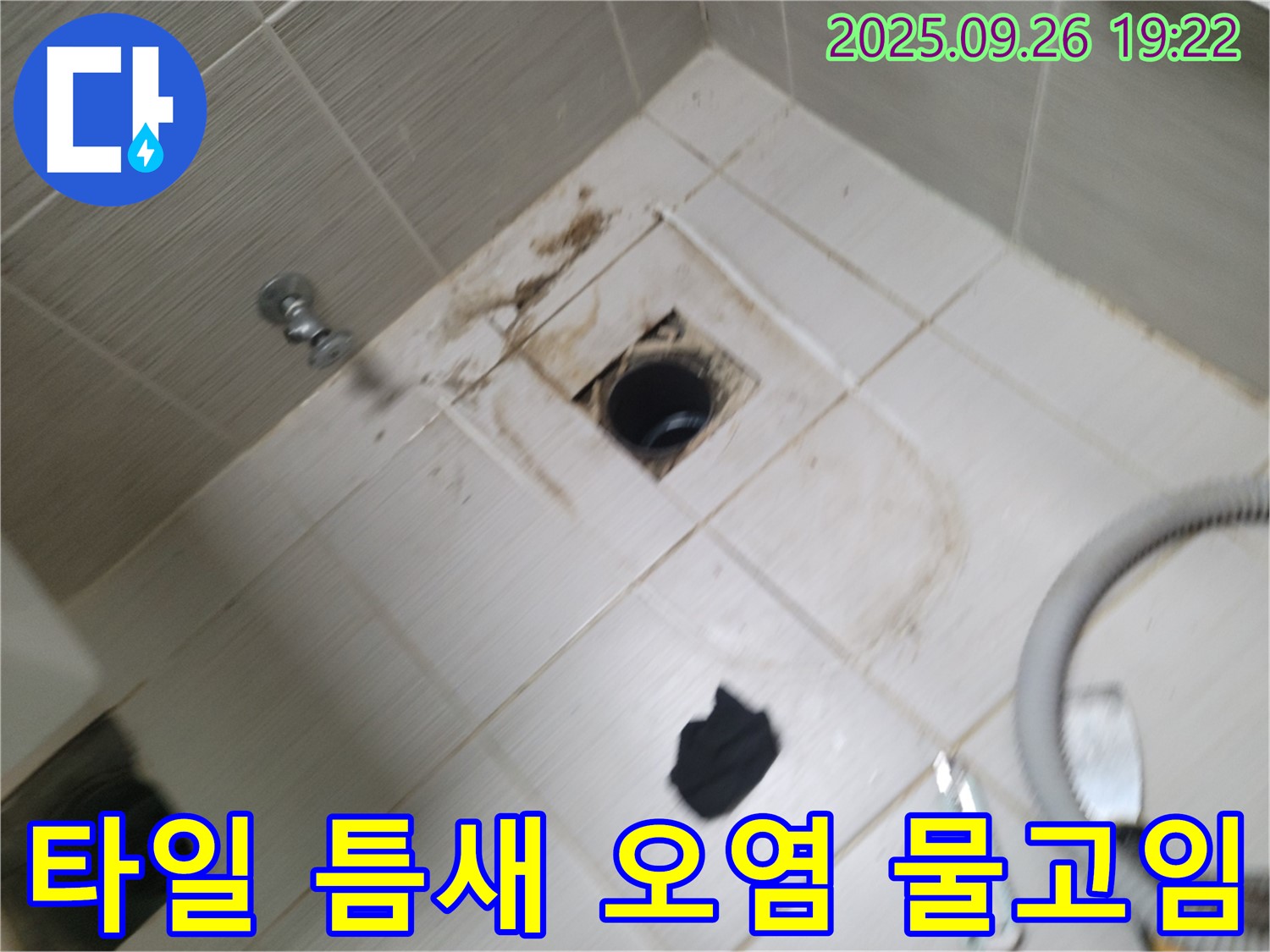 동두천 욕실 누수 - 배수구 주변 타일 틈새 오염과 물고임 - 누수 가능성 정밀 점검