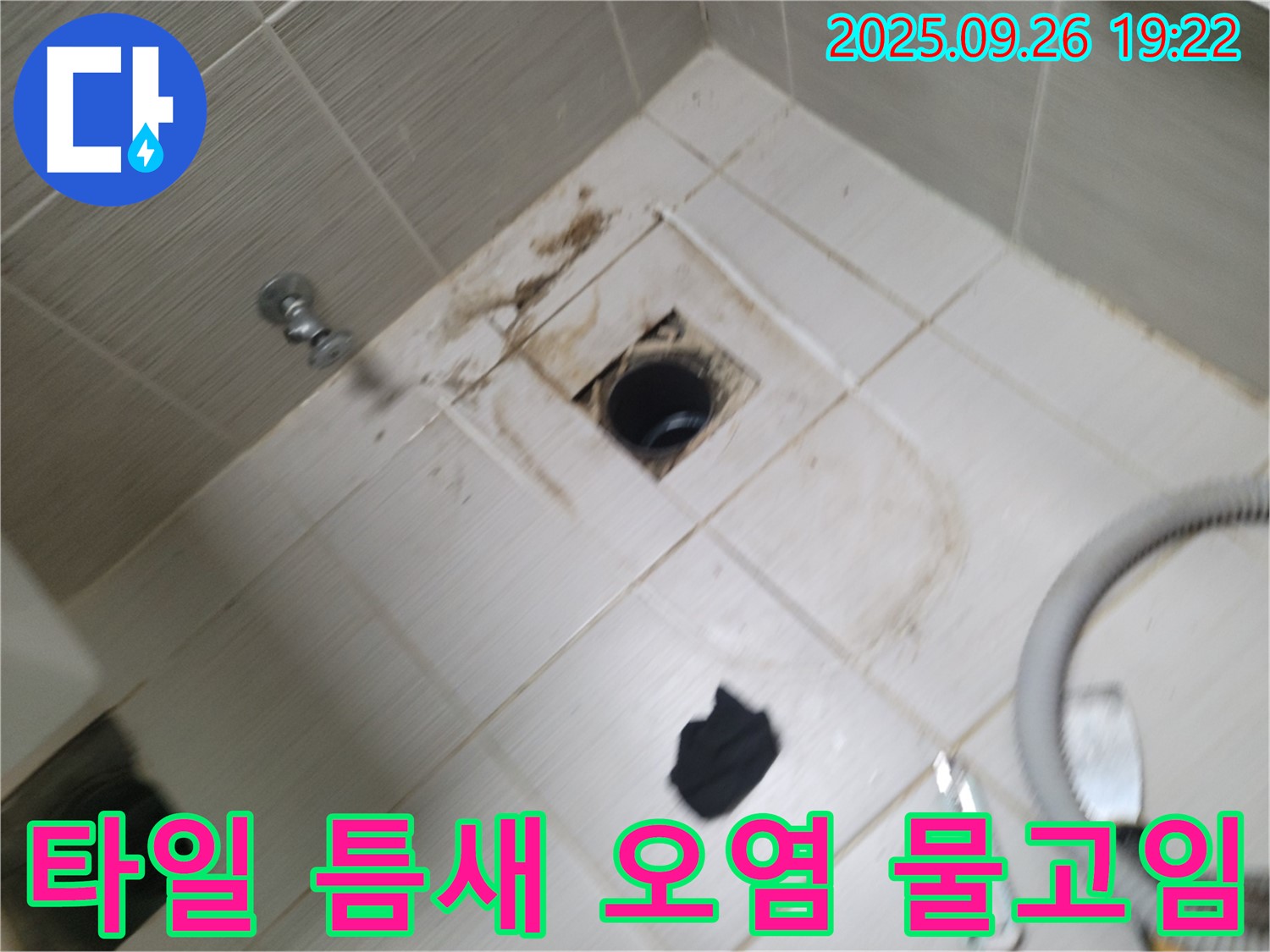 동두천 욕실 누수 - 배수구 주변 타일 틈새 오염과 물고임 - 누수 가능성 정밀 점검