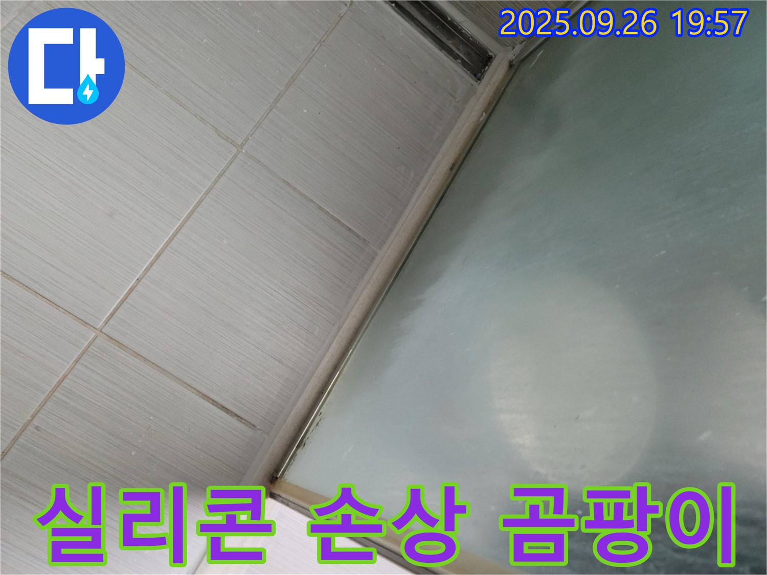 동두천시 강변동 46번지 샤워부스 하단 실리콘 손상 누수 - 곰팡이 제거 후 실리콘 재시공으로 누수를 해결했습니다.