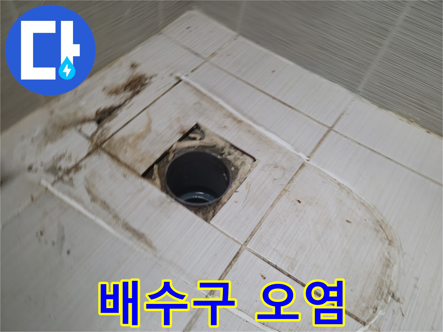 문제의 배수구 - 오염 상태 재점검