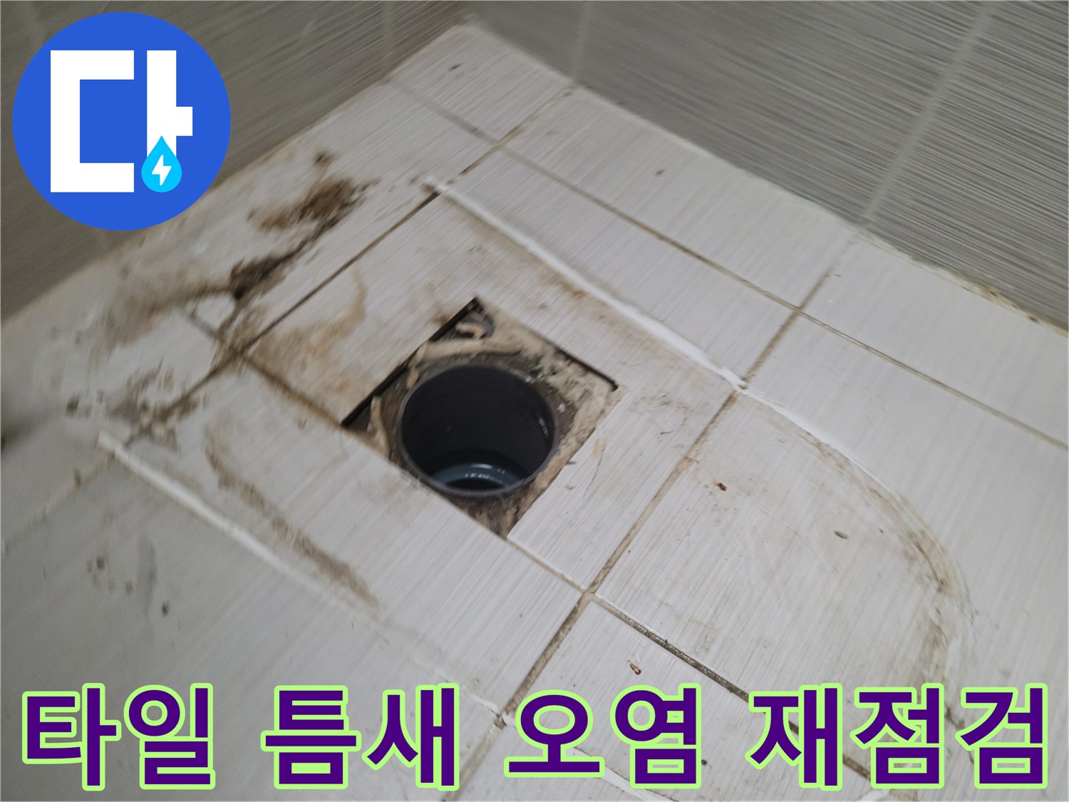 배수구 주변 - 타일 틈새 오염, 누수 위험 재확인