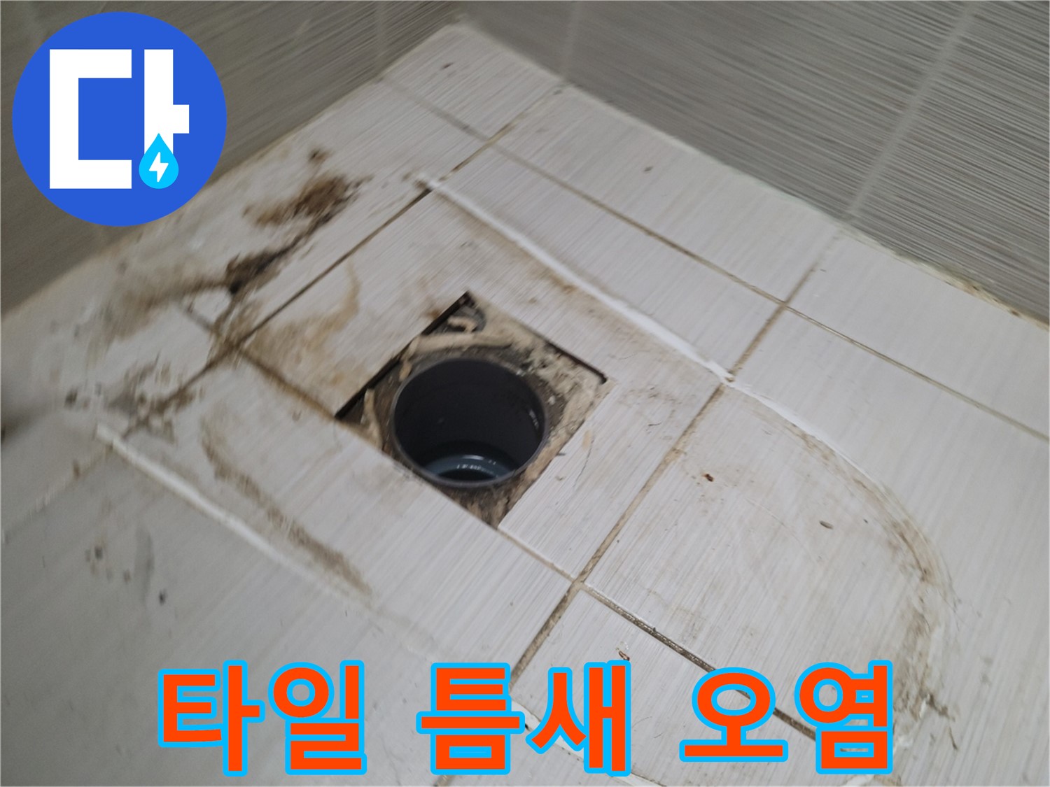 배수구 주변 타일 틈새 오염 - 누수 의심