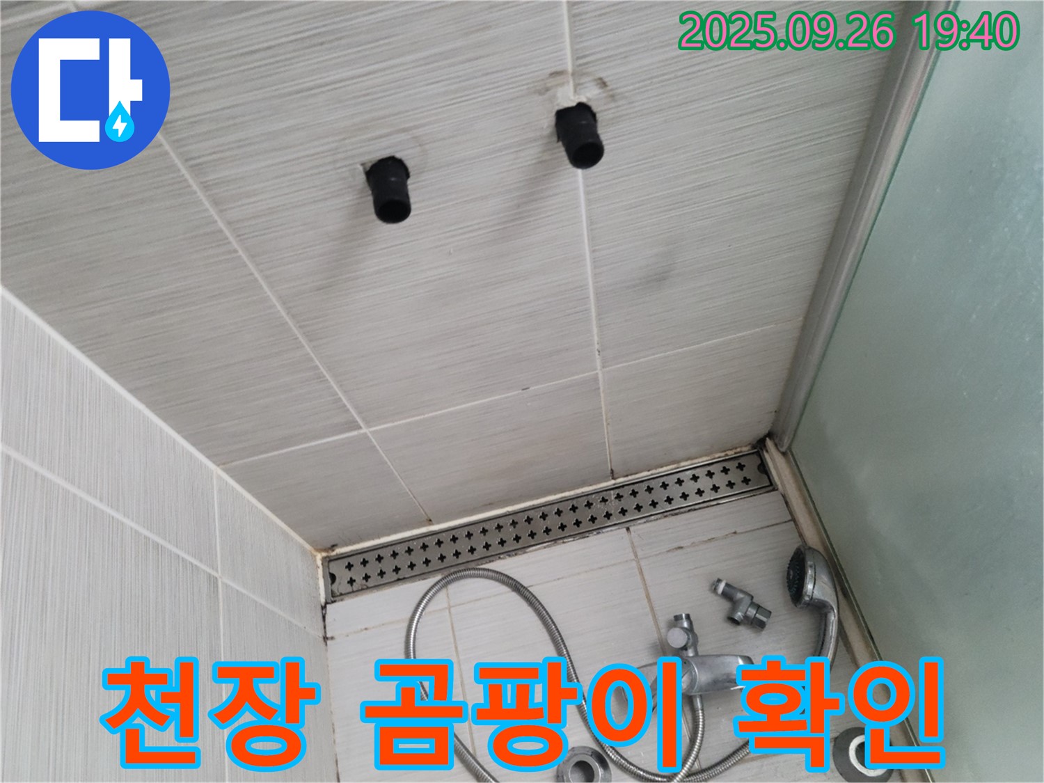 샤워기 누수 - 천장 곰팡이 발생 - 건강에 해로운 곰팡이