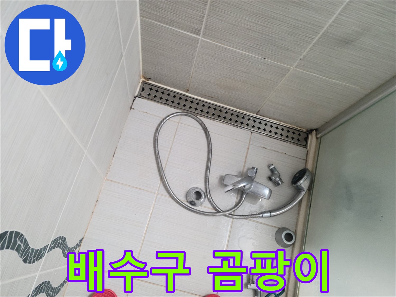 샤워기 배수구 주변 곰팡이 번식 - 득실