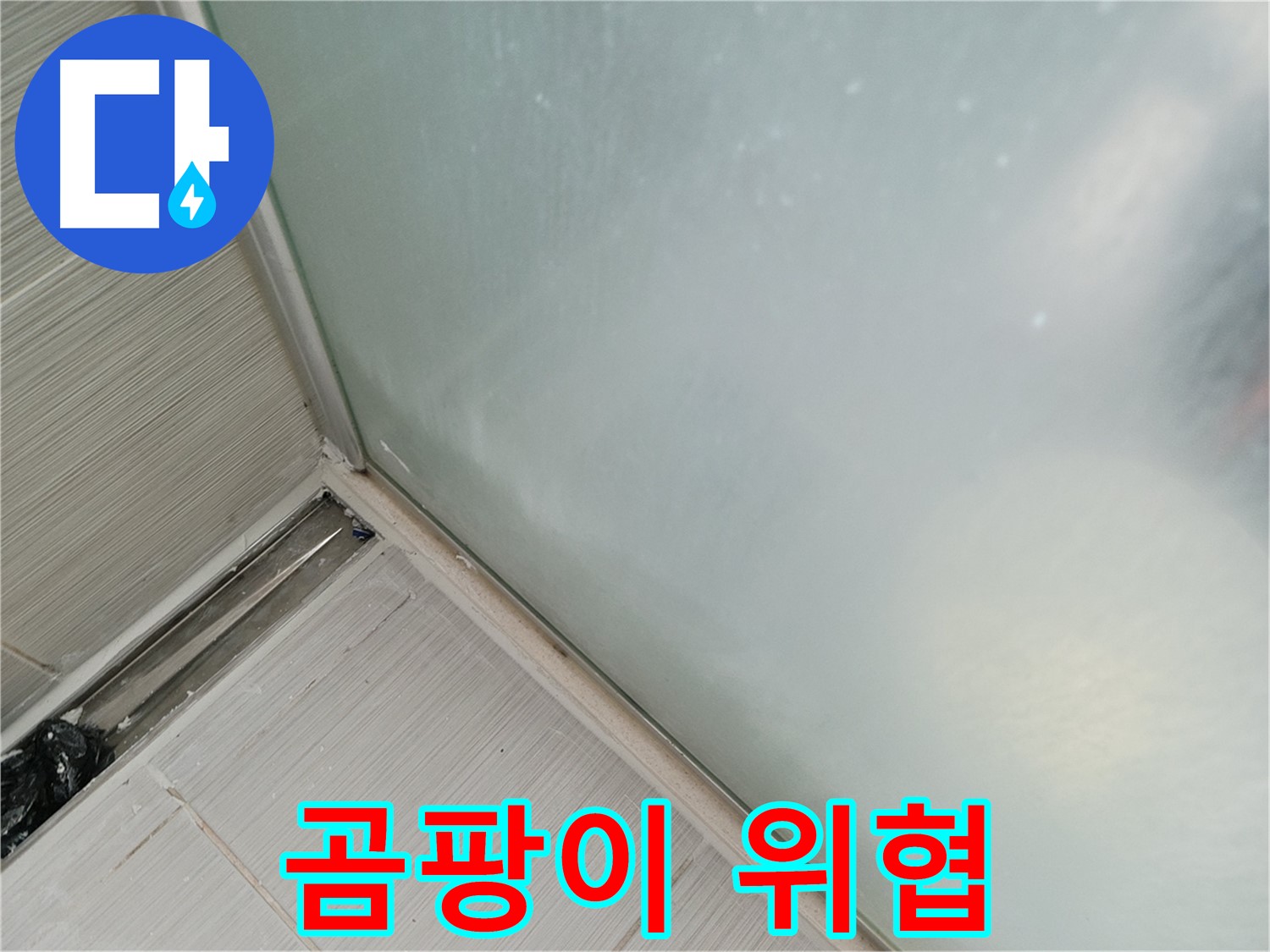 샤워부스 누수 - 곰팡이 - 건강 위협