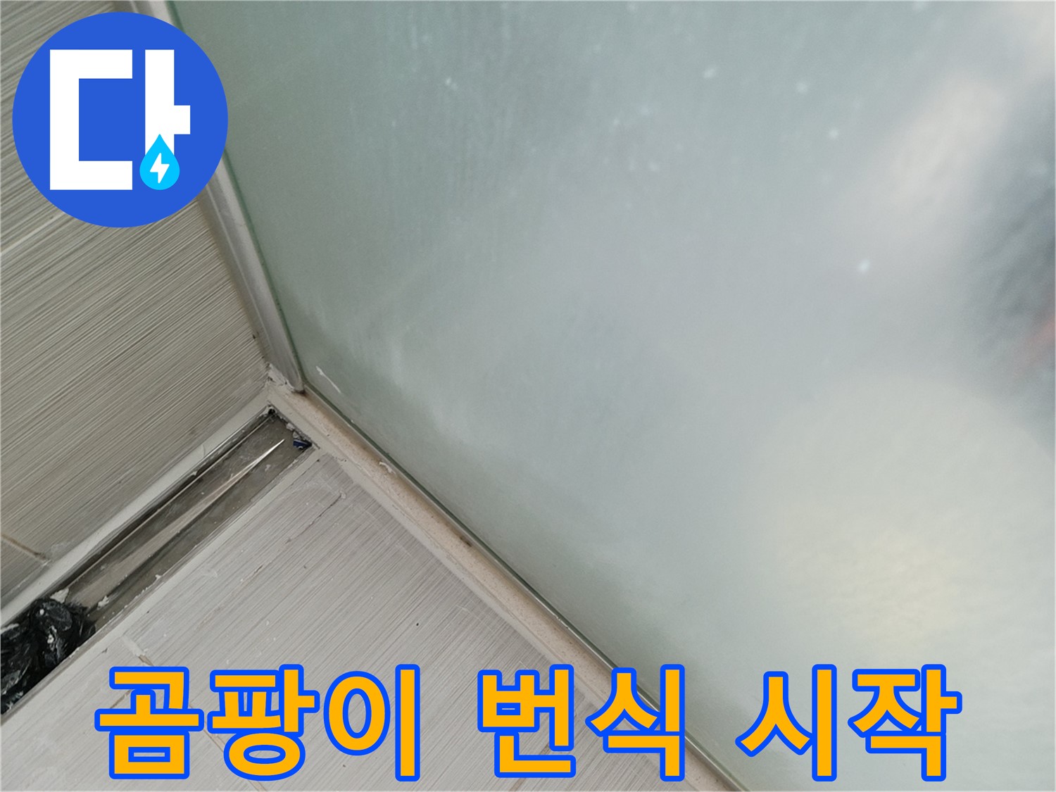 샤워부스 누수 - 곰팡이 번식 - 실리콘 들뜸