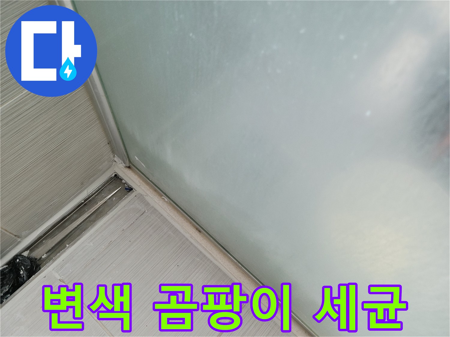 샤워부스 누수 - 변색 - 곰팡이 - 세균