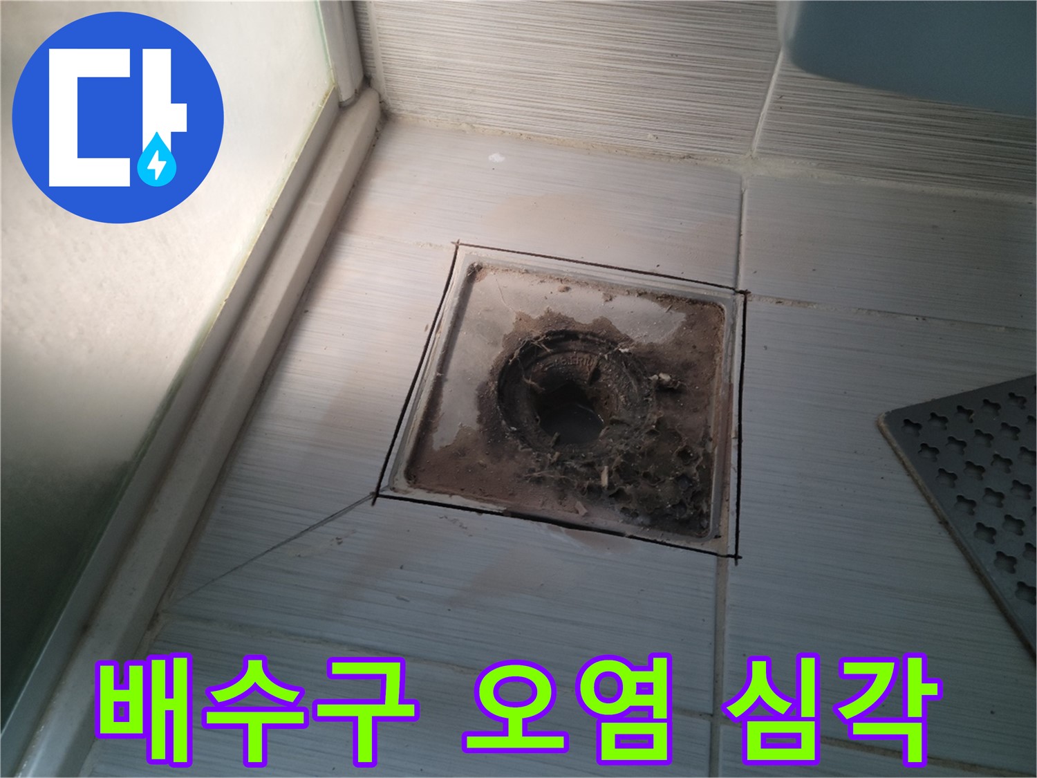 신창비바패밀리 욕실 배수구 - 오염의 심각성, 누수 위험 증가!
