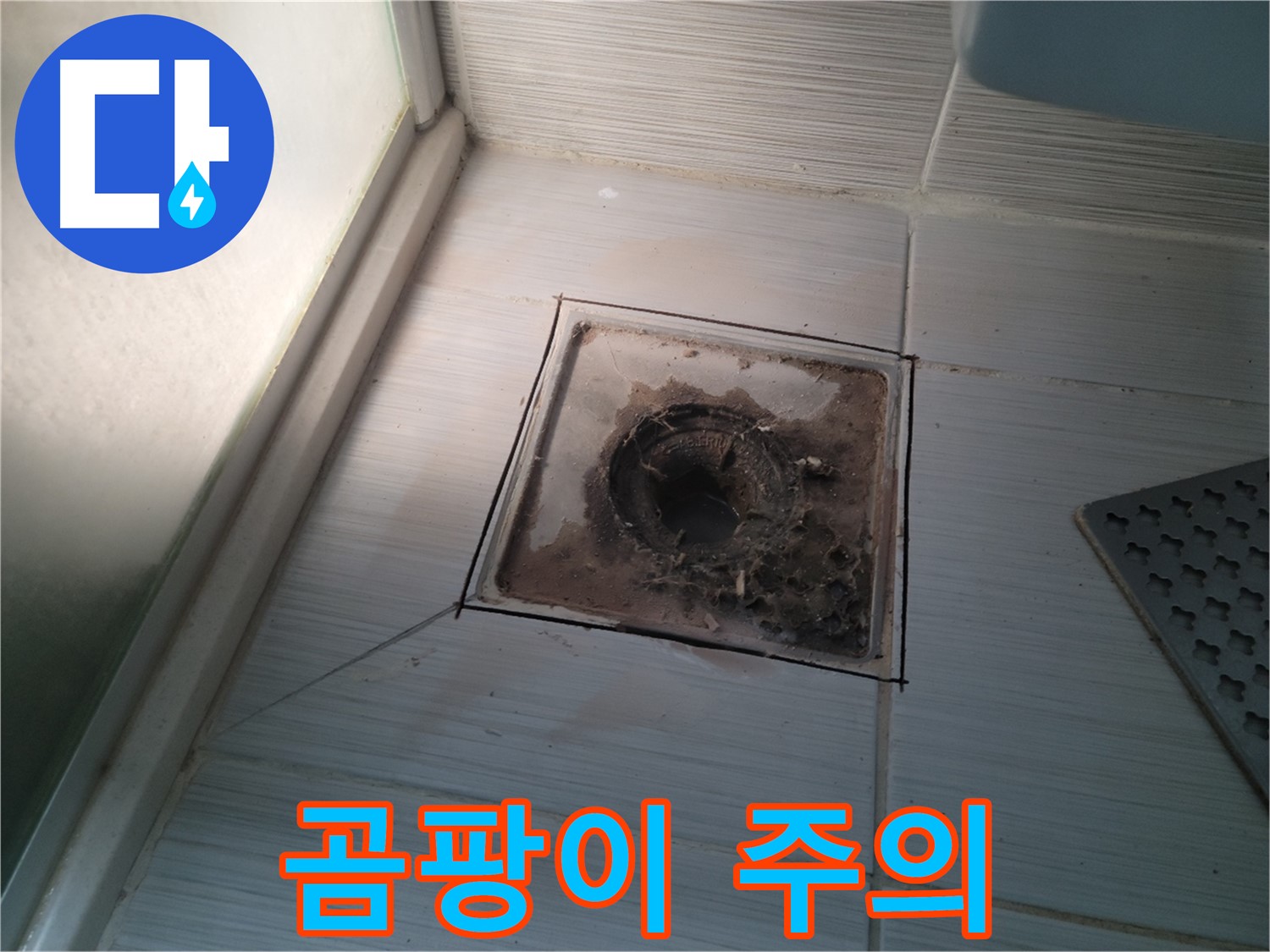 신창비바패밀리 욕실 배수구 주변 - 곰팡이 주의! 건강에 해로워요!