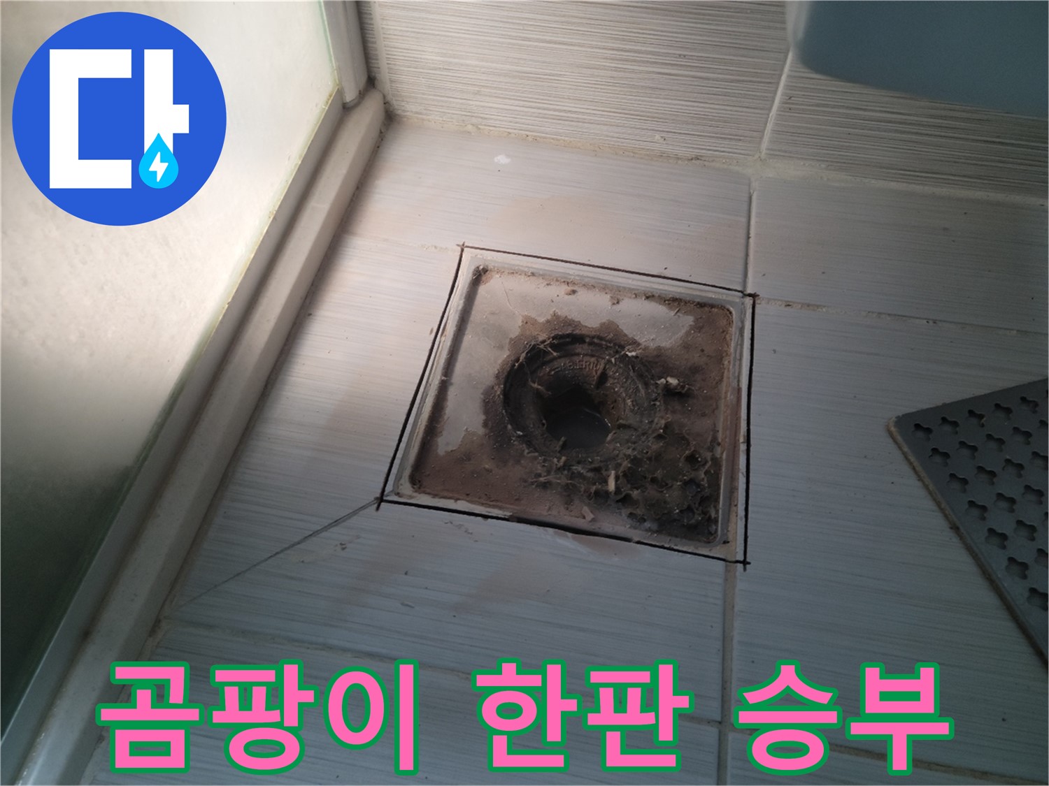 신창비바패밀리 욕실 배수구 주변 - 곰팡이와의 한판 승부!