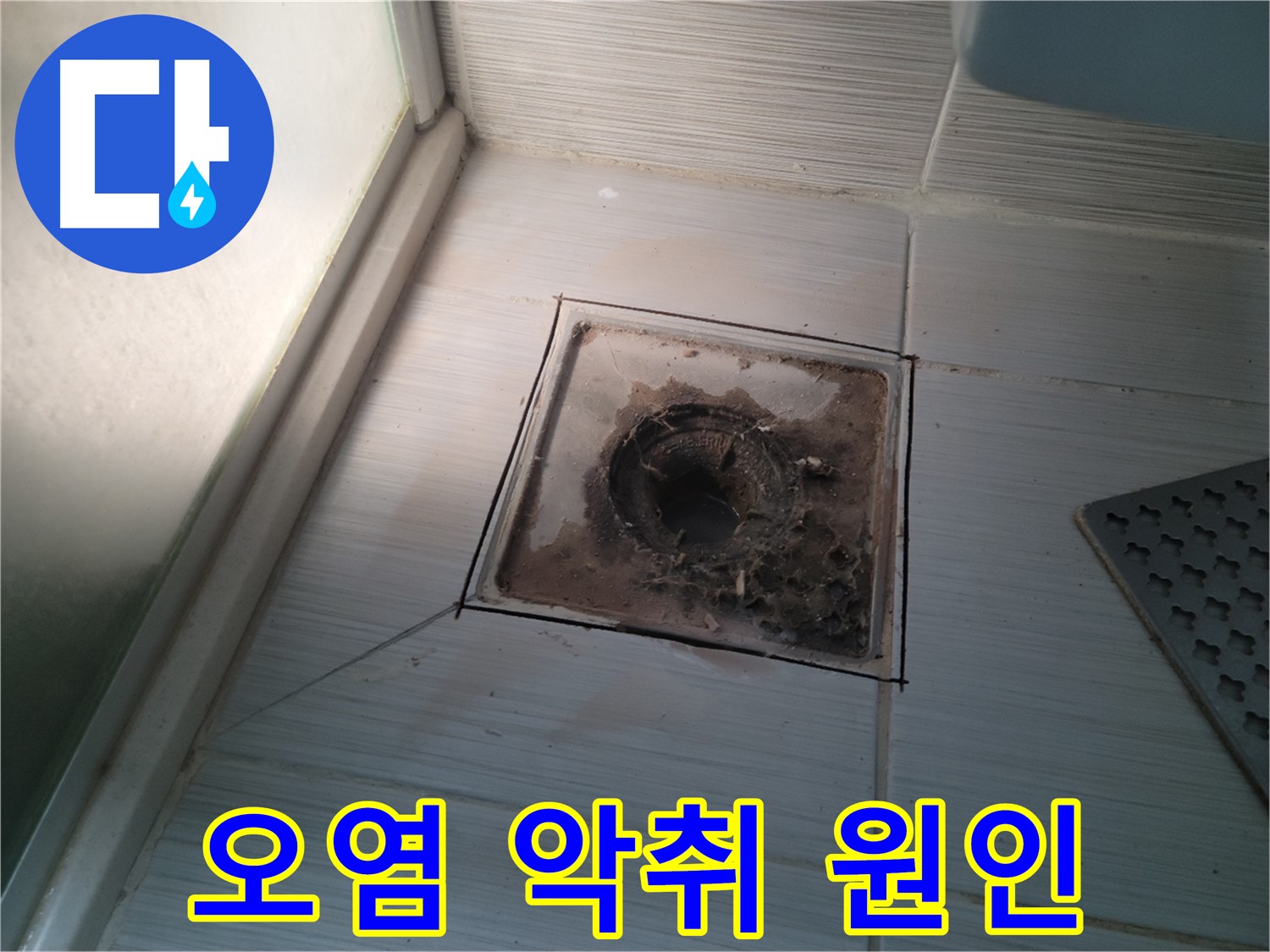 신창비바패밀리 욕실 배수구 주변 - 오염과 악취의 원인 정밀 분석 중
