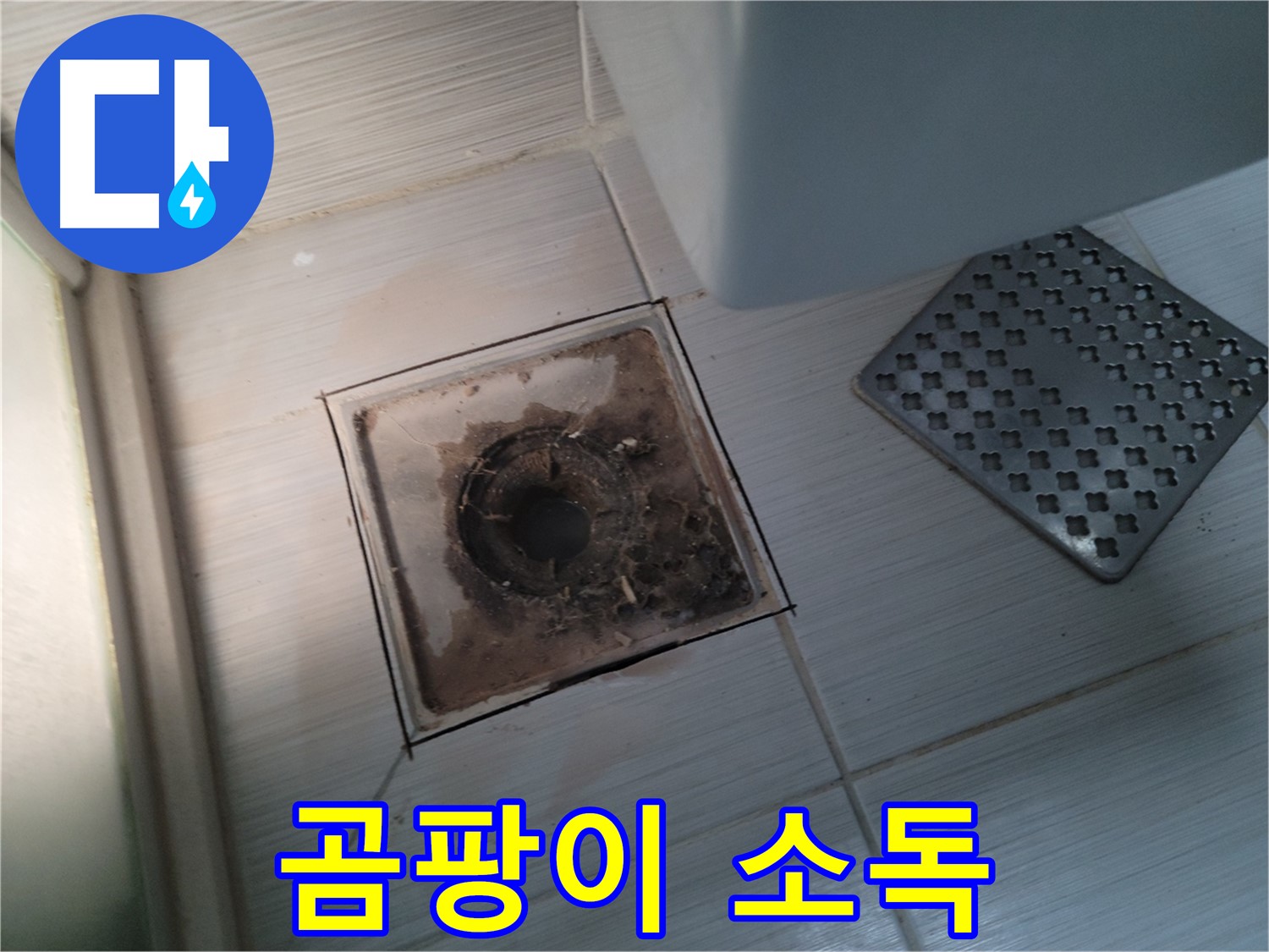 욕실 배수구 - 곰팡이 서식지 - 살균 소독으로 깨끗하게