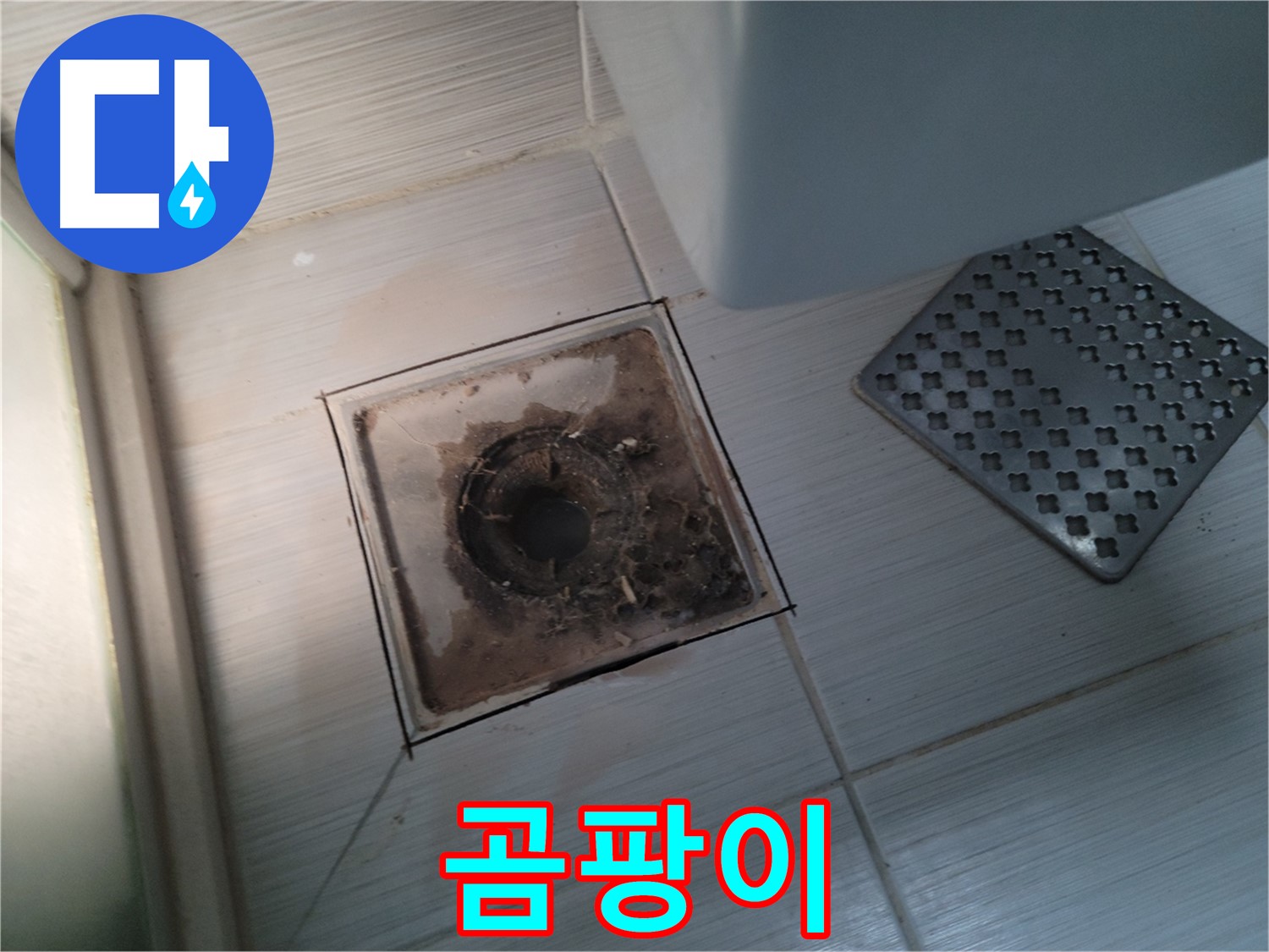 욕실 배수구 주변 - 곰팡이 - 누수 가능성 의심