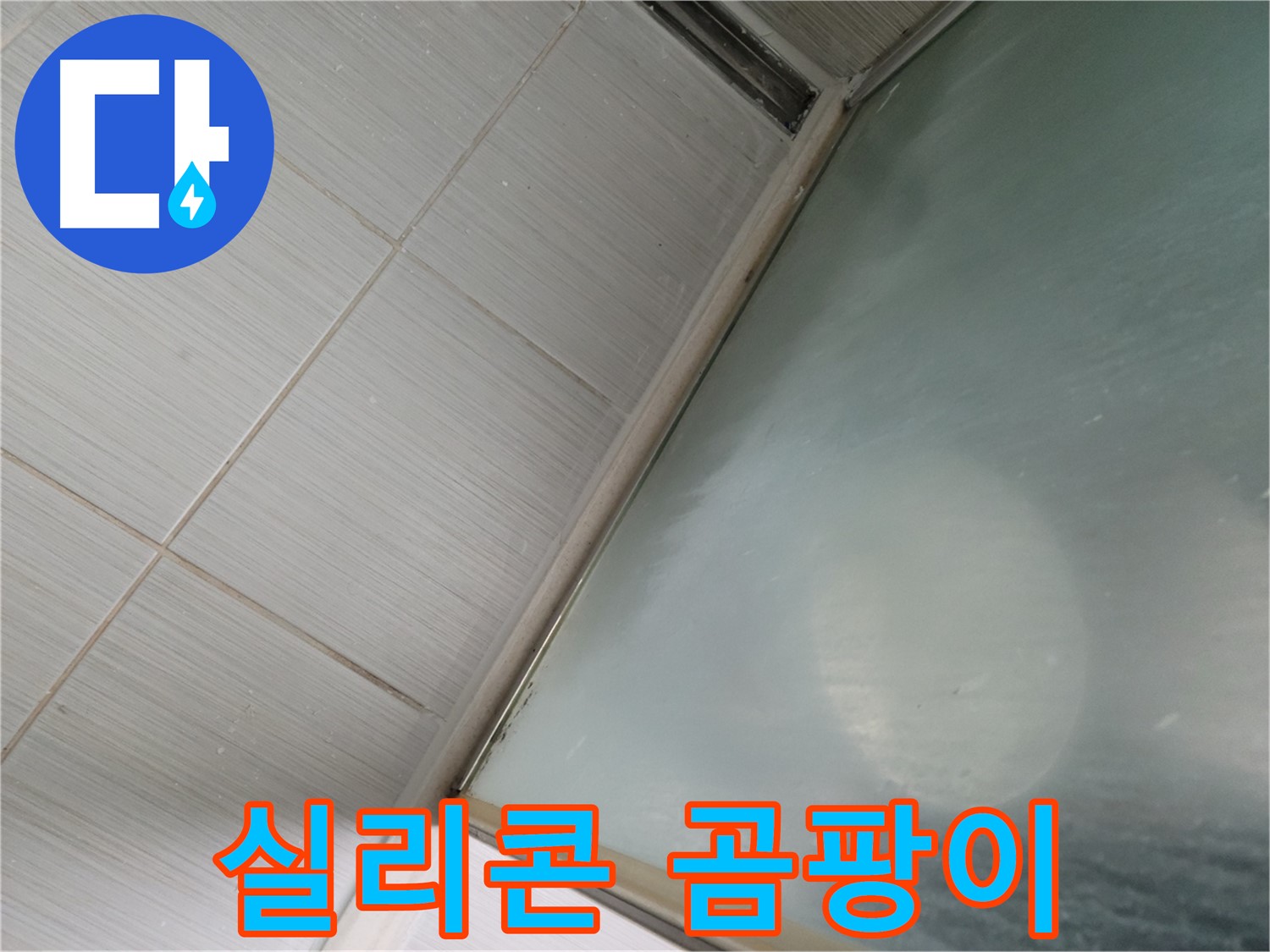 욕실 실리콘 곰팡이 제거 - 누수 예방 관리 - 동두천 누수 전문가의 꿀팁
