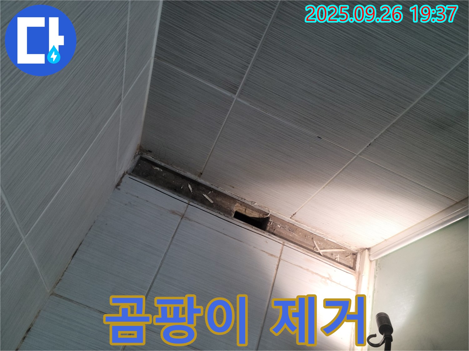 욕실 천장 누수 - 점검구 주변 곰팡이 제거 방법, 전문가의 도움