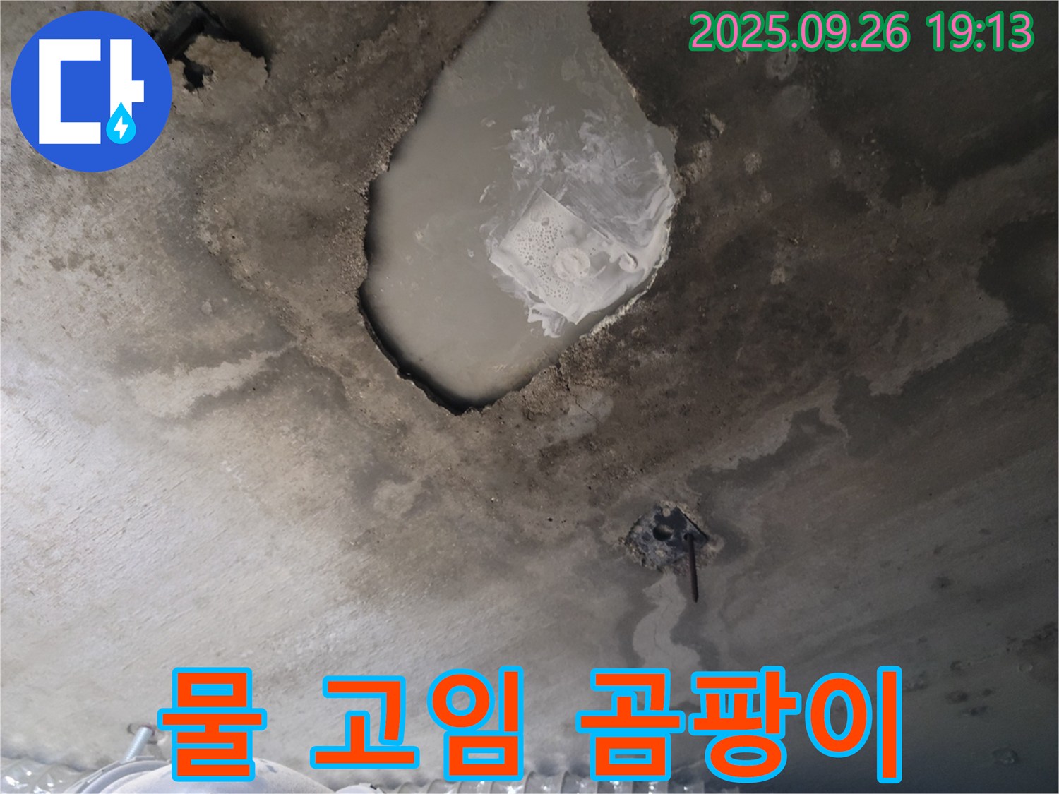 콘크리트 천장 - 물 고임 - 곰팡이 건강 위협