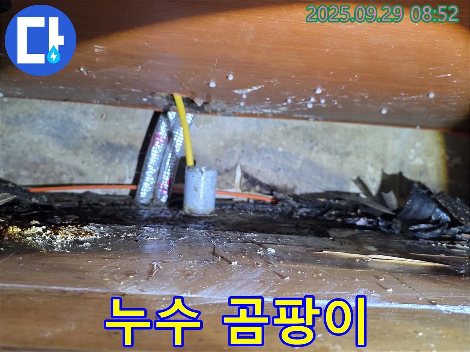 누수 지점 주변 곰팡이 확인 - 양천구 누수탐지
