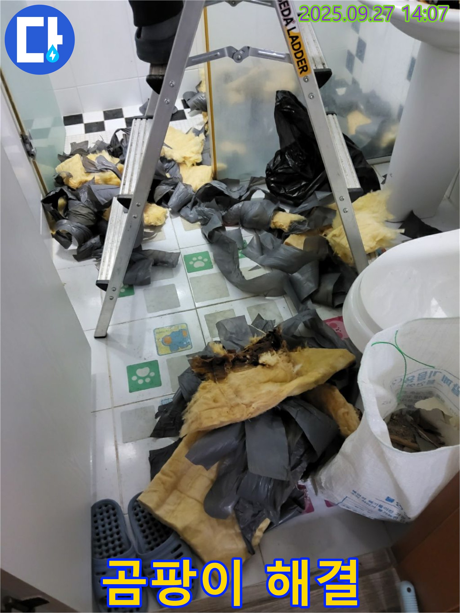 양주 광적면 - 곰팡이 문제 해결은 전문가에게 맡기세요!